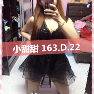 地區:台南叫茶<hr>妹名:小甜甜<hr>標籤:台南叫雞