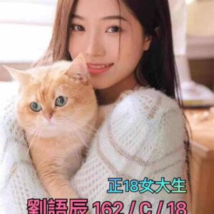 地區:新店快速叫小姐<hr>妹名:劉語辰<hr>標籤:永和找炮友